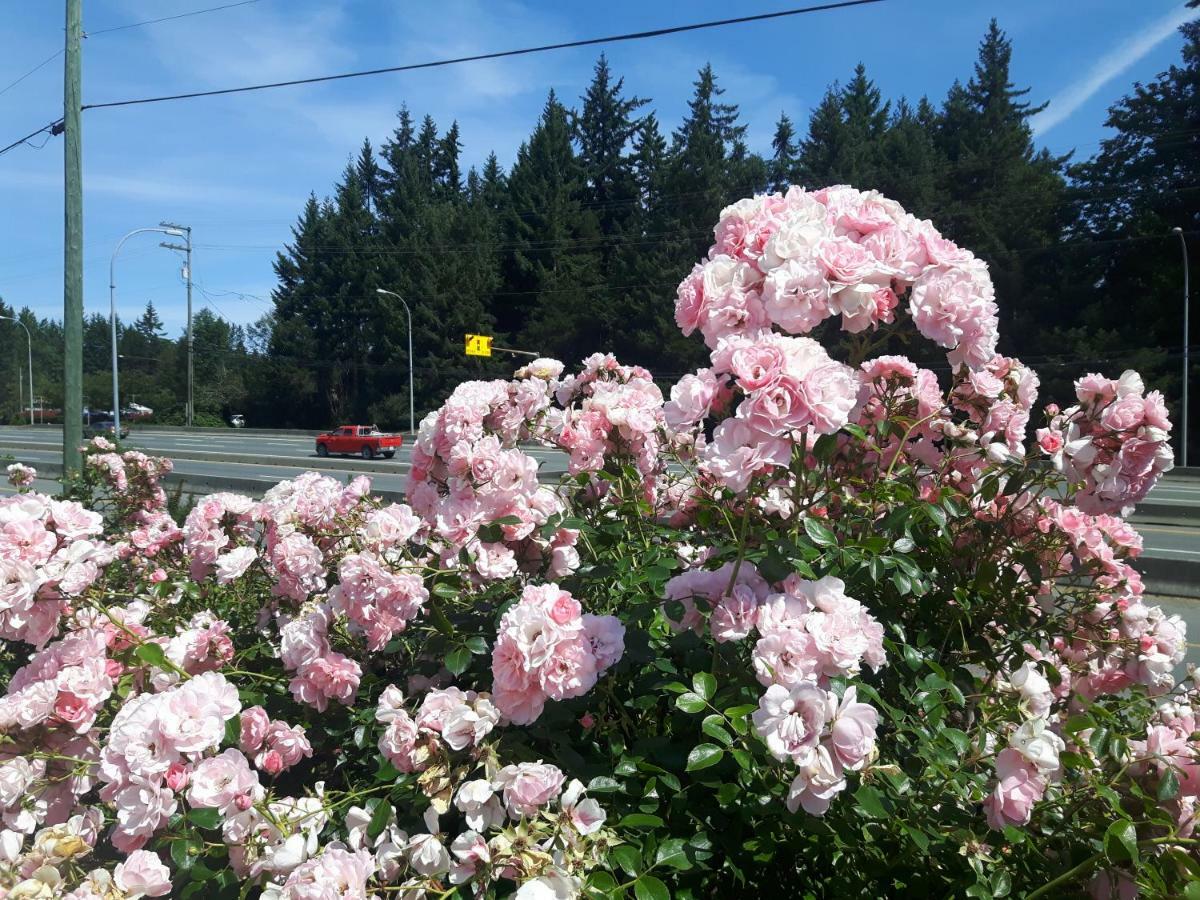 Fuller Lake Chemainus Motel Εξωτερικό φωτογραφία