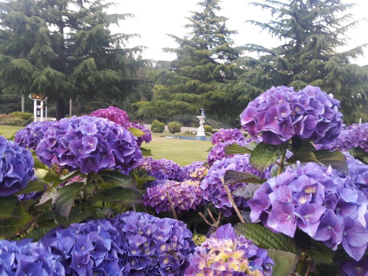 Fuller Lake Chemainus Motel Εξωτερικό φωτογραφία